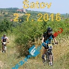 IMG_2547 (2)